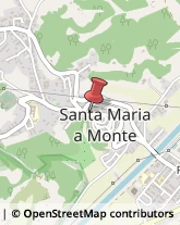 Istituti Finanziari Santa Maria a Monte,56020Pisa