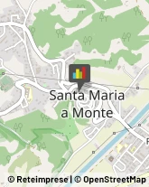 Istituti Finanziari Santa Maria a Monte,56020Pisa