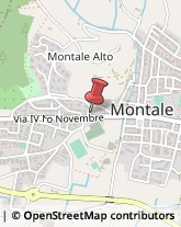 Assicurazioni Montale,51037Pistoia