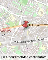 Nettezza Urbana - Servizio Firenze,50142Firenze