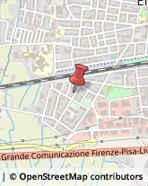 Pelli per Pellicceria Empoli,50053Firenze