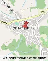 Notai Montespertoli,50025Firenze