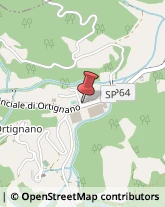 Comuni e Servizi Comunali Ortignano Raggiolo,52010Arezzo