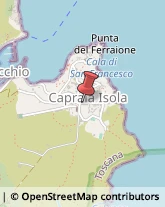 Tour Operator e Agenzia di Viaggi Capraia Isola,57032Livorno