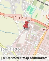 Salotti,56121Pisa