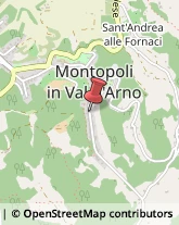 Aziende Agricole Montopoli in Val d'Arno,56020Pisa