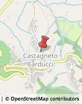 Distillerie Castagneto Carducci,57022Livorno