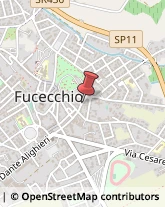 Leasing Fucecchio,50054Firenze