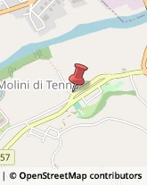 Molini - Attrezzature e Macchine Fermo,63900Fermo