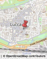 Associazioni ed Organizzazioni Religiose Lucca,55100Lucca