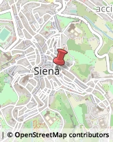 Articoli per Ortopedia Siena,53100Siena