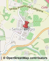 Consulenza Industriale,53034Siena