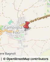 Demolizioni e Scavi Colle di Val d'Elsa,53034Siena