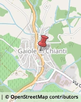 Ottica, Occhiali e Lenti a Contatto - Dettaglio Gaiole in Chianti,53013Siena