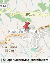 Trading Società Radda in Chianti,53017Siena