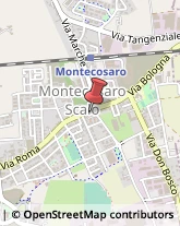 Pescherie Montecosaro,62010Macerata