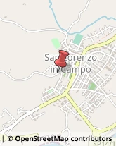 Aziende Agricole San Lorenzo in Campo,61047Pesaro e Urbino