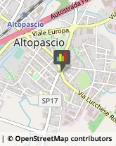 Notai Altopascio,55011Lucca