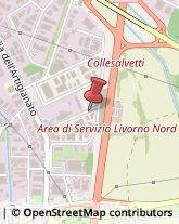 Autofficine e Centri Assistenza,57121Livorno