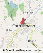 Turismo - Consulenze Carmignano,59015Prato