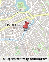 Articoli per Ortopedia Livorno,57123Livorno