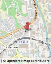 Scuole Pubbliche Pescia,51017Pistoia