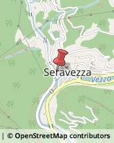 Profumerie Seravezza,55047Lucca