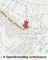 Assicurazioni Foiano della Chiana,52045Arezzo