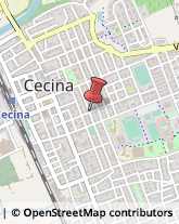 Articoli per Ortopedia Cecina,57023Livorno