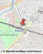 Trasporto Pubblico,61121Pesaro e Urbino