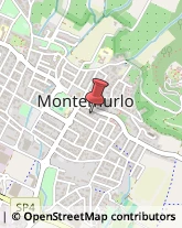 Stirerie Montemurlo,59013Prato