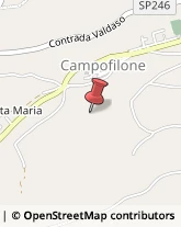 Aziende Agricole Campofilone,63828Fermo