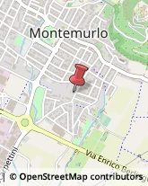 Autotrasporti Montemurlo,59013Prato