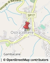 Profumerie Ostra Vetere,60120Ancona