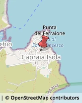 Ortofrutticoltura Capraia Isola,57032Livorno