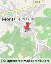 Tappezzieri Montespertoli,50025Firenze