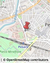 Trasporto Pubblico,61121Pesaro e Urbino