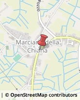 Scuole Pubbliche Marciano della Chiana,52047Arezzo