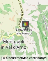 Fornaci Montopoli in Val d'Arno,56020Pisa