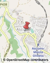 Assicurazioni Asciano,53041Siena