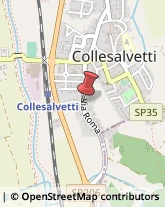 Pensioni Collesalvetti,57014Livorno