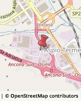 Consulenza di Direzione ed Organizzazione Aziendale Osimo,60027Ancona