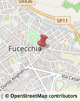 Paghe, Contributi e Stipendi Fucecchio,50054Firenze