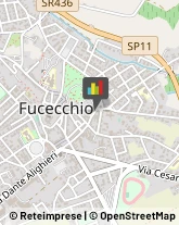 Paghe, Contributi e Stipendi Fucecchio,50054Firenze