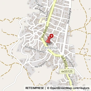 Mappa Via Roma, 173, 08047 Tertenia, Nuoro (Sardegna)