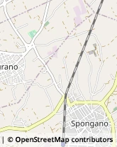 Via Papa Pio XII, 7,73037Poggiardo