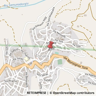 Mappa Viale della Regione, 50, 08039 Tonara, Nuoro (Sardegna)