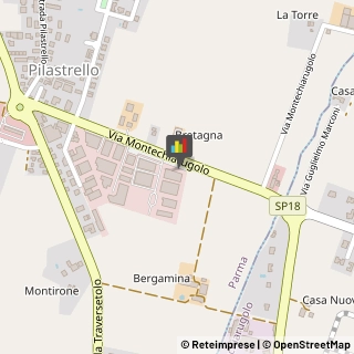 Carne - Lavorazione e Commercio,43123Parma