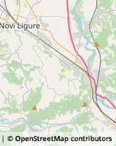 Aziende Agricole Novi Ligure,15066Alessandria