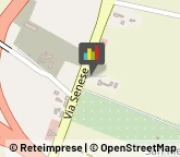 Componenti e Ricambi Auto Grosseto,58100Grosseto